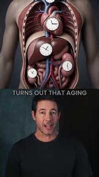 This Week in Longevity: Your Organs Are Aging on 3 Different Clocks