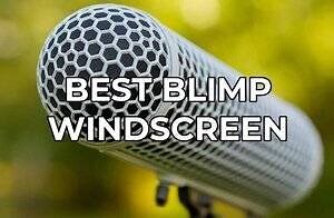 Best Blimp for Microphone Wind Protection — Acoustic Nature