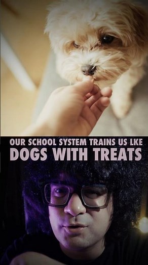 Why Schools Choose Robots Instead of Creative Minds!