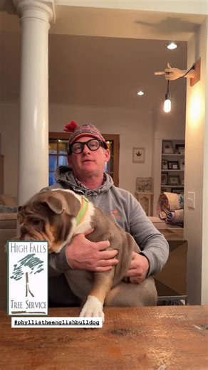 High Falls Tree Service on Instagram: "Exploding trees? Let’s ask our expert…🚛🪚🌳 www.highfallstreeservice.com 585-467-9310 #explodingtrees #rochesterny #websterny #victorny #penfieldny"