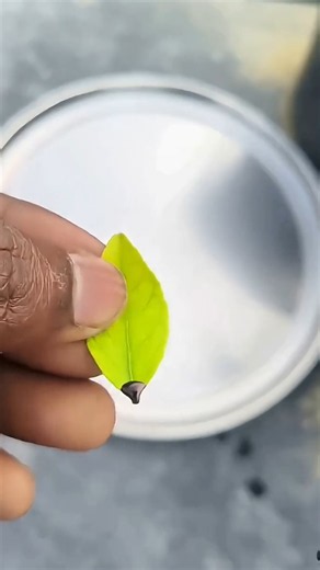 Ink Water Boat Hack ✅ | science project class 7th #shorts #diy #science #experiment #trending #viral