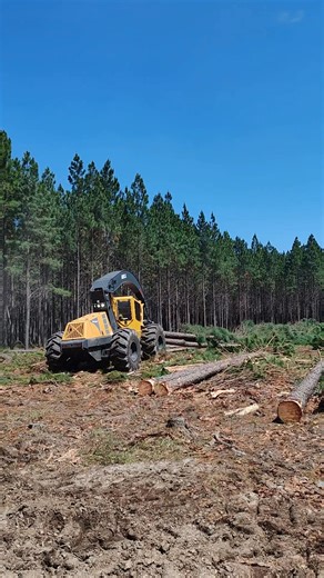 6.3K views · 88 reactions |  The Bell Skogger is your ideal workmate - always up to the task. 蝹 Whether it be sorting, stacking, or loading, the Skogger is the ultimate extraction tool.  #bellequipment #Skogger #TimberExtractionTool #SortStackLoad | Bell Equipment Forestry & Agri | Facebook