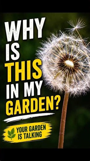 Why Is This Weed In My Garden? 🌼 The Secret of Dandelions