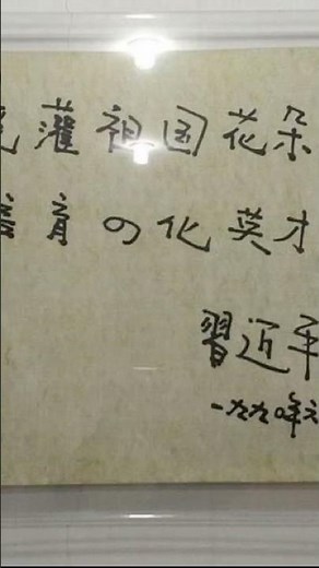 习近平（维尼）的书法#习近平 #维尼#中国#习近平