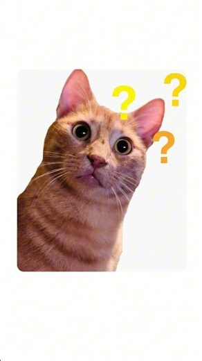 Redispatch erklärt von Katzen