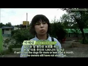 [EngSub] Super Junior ANIMAL FARM Episode 1