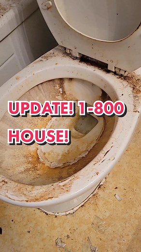 Update on 1-800 House - Cleaning Progress and Transformation