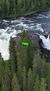 61K views · 1.6K reactions | The Funniest Divorce Court Misunderstanding You'll Ever Hear  | Quick Line Comedy | Facebook