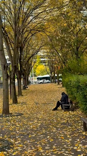 Strolling through a French garden where every path feels like poetry in bloom 🌸🇫🇷 Nature’s calm, Parisian charm — the perfect escape for the soul 🌿✨ #FranceVibes #GardenWalk #FrenchNature #TravelFrance #NatureBeauty #ParisEscape #HiddenParadise #PeacefulMoments #ScenicFrance #WanderInNature #GardenLover #TravelMood #FranceDiaries #NatureWalk #EuropeanVibes | Trendy T