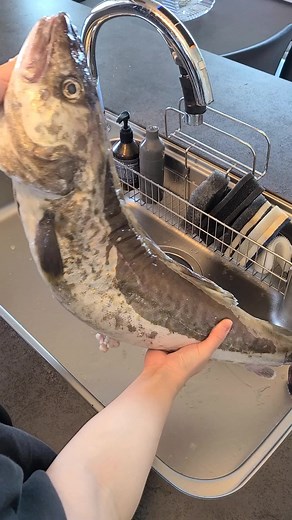 絶品鱈の白子料理と漁師の嫁のレシピ