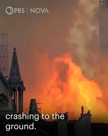 2.5M views · 27K reactions | After the devastating fire at Notre Dame, two mystery bodies were found buried beneath the cathedral. Watch scientists examine the remains: | NOVA l PBS | Facebook