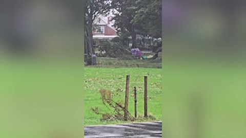 Homeless man staying inside tent in park killed by falling tree branch