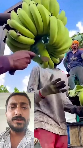 225K views · 1.3K reactions | #pageviralシ゚ #reelschallengereelschallenge #highlightseveryone #followersreelsfypシ゚viralシfypシ゚viralシal #reelsvideoシ #followersreelsfypシ゚viralシfypシ゚viralシalシ #reelsviralシ #viralreelsシ #reelsfbシ #Design #followme #banana | Chaudharylifestyle" | Facebook