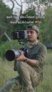 1.5M views · 72K reactions | Sri Lankan Leopard Day  #srilanka #wildlifephotography #Srilankanleopardday | Ravisara Jayamanna - The Wildlife Photographer | Facebook