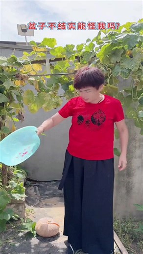 #Likeability Incentive Program | Funny fun | Facebook