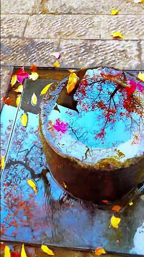 Overflowing Wells: The Magic of Reflections in Nature