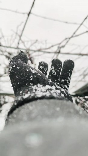 МИР ГЛАЗАМИ МИКРОСКОПА на TikTok