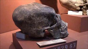 Massive Elongated Humanoid Skulls Of Oruro Bolivia