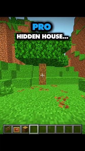 Mastering Minecraft: Tips for Success