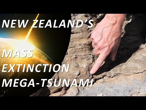 A Mega-Tsunami Deposit at the KT Boundary