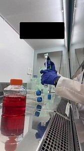 22K views · 365 reactions | Trypsin breaks down adhesion proteins, helping adherent cells detach! 離 Perfect for passaging and expanding cells in culture. 匿 #Switzerland #Suisse #Suiza #FYP #Lab #Bio #CellCulture #Science #PhD #LabLife #Biomedniac @topfans #reelschallengereelschallenge #Master | Microbiologists | Facebook