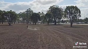 Crazy Brenno RC on TikTok