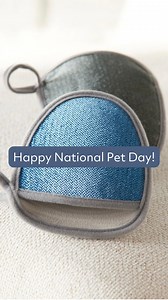 51K views · 272 reactions | In case you hadn’t heard, today is...