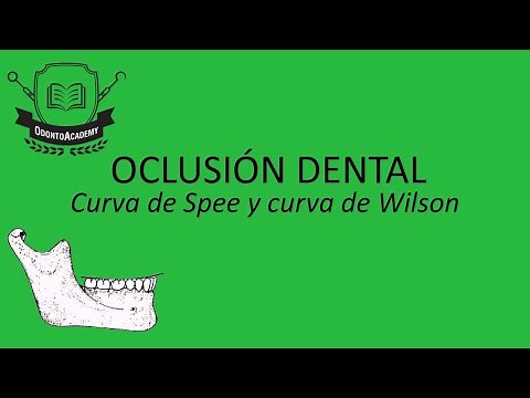Dental occlusion planes [EXPLAINED IN 3D] Curve of Spee | Curve of Wilson |