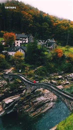 Ambient Nature Bliss 🌿🎶 | Why This View Feels Like a Breath of Peace