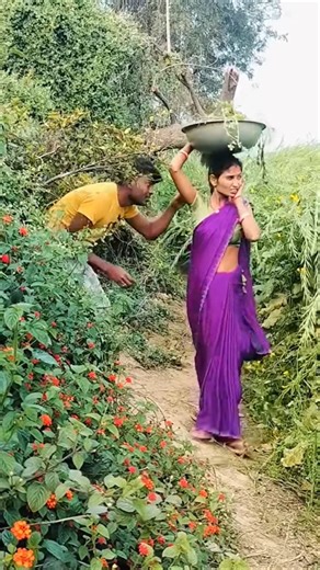 Duckling saves seriously injured cat #Duck😬😤 Rescue #CuteAnimals #Animalrescue #physiotherapy