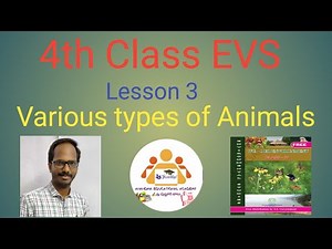 4th Class EVS || Various types of Animals || E M || By Pulluri Balu @AnandhaEducationalAcademy