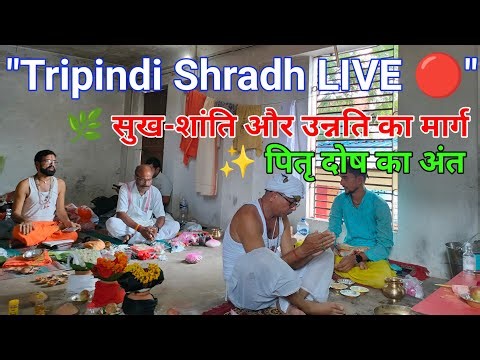 Tripindi Shradh Live | पितृ दोष निवारण श्राद्ध | Tripindi Shraddha Puja Live Darshan 2025