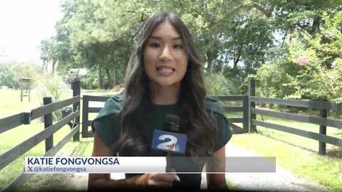 Johns Island neighborhood experiencing FedEx delivery issues