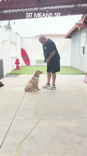 Think Puppies Can't Be Trained? Watch This Video! | Sit Means Sit Dog Training Corona California