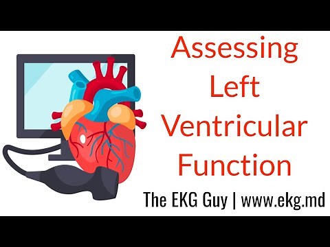 Assessing Left Ventricular Function - ECHO Course l The EKG Guy - www.ekg.md