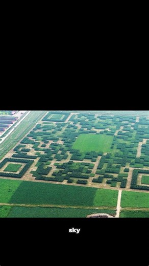 The 130,000-Tree QR Code You Can Scan From the Sky#didyouknow #funfacts #amazingfacts #viral