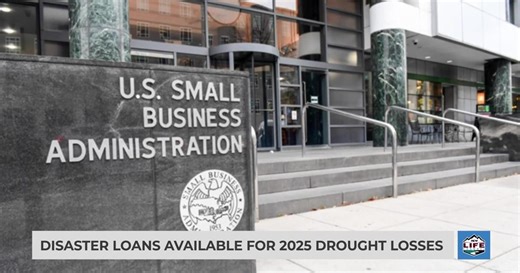 Disaster loans available for 2025 drought losses
