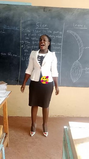 Understanding Plant Anatomy: Key Parts Explained