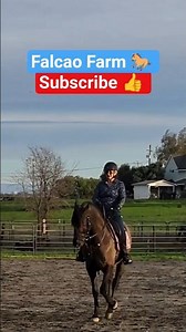 OREO HALF PASS 💪 #horse #equestrian #sports #shorts #power #happy