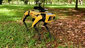 Singapore tests out canine-like robot to enforce distancing measures in parks