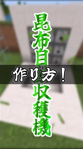 【マイクラ】サバイバル序盤に欲しい！自動昆布収穫装置の作り方簡単6ステップ#マイクラ統合版 #マイクラ装置【ゆっくり実況】