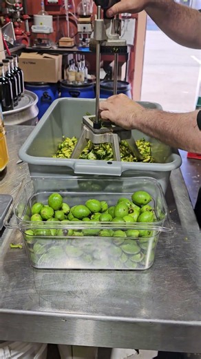 Dicing green walnuts to become nocino! #nocino #handcrafted