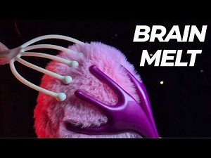 ASMR Feels Like a Real Scalp Massage (1 Hour) | Ultimate Deep Sleep Session
