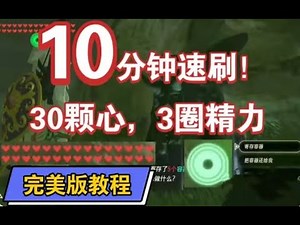 【塞尔达传说 zelda botw】新手速刷30颗心3圈精力教教程（萌新向超详细教程）How to Duplicate Hearts and Stamina