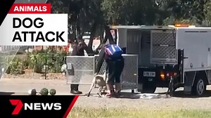 Person viciously attacked by dog in SA