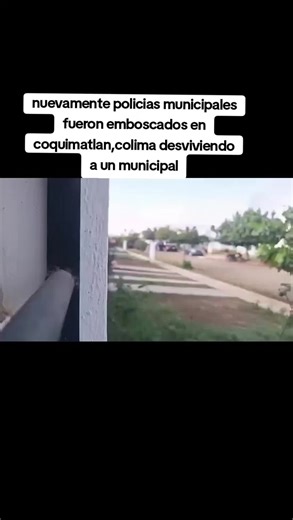 #colimamexico #coquimatlancolimamexico #policiamunicipal #mexico🇲🇽 #fypageシ