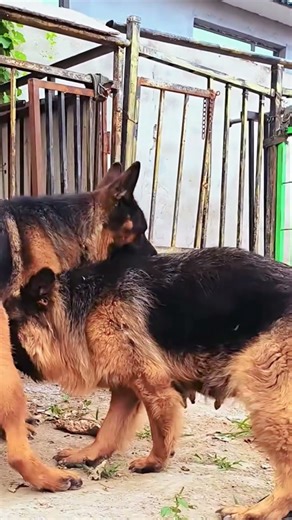 The best coffee is the coffee you personally like 26