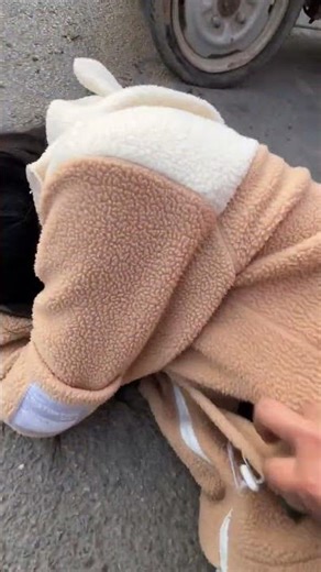 Sweating Like Crazy! 😱 The Unexpected Scare Funny