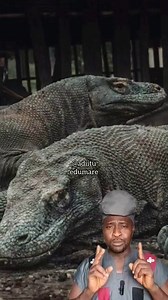 Parthenogenesis - Why some animals may give birth without mating 😲 | Àdììtú Èdùmàrè