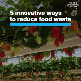 1.7K views · 60 reactions | Ending food waste would slash global emissions by 8%. Here are a few ways to do it. The World Economic Forum’s Food Partnership Hubs are working to make food systems more nutritious, resilient and environmentally sustainable. Learn more about them here: https://ow.ly/ItWu50QjbLu | World Economic Forum | Facebook